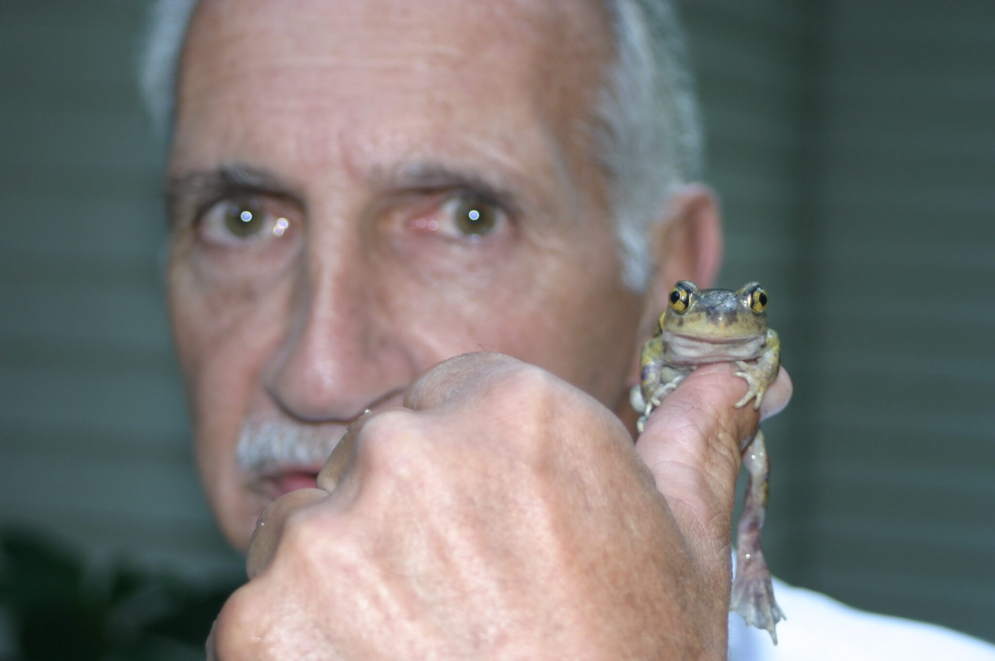 Paul Thompson has found spadefoot toads on his Middle Township property for the last two years