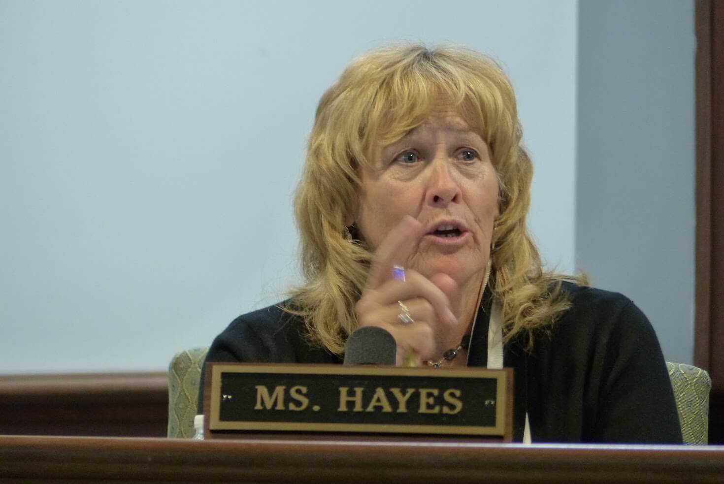 Freeholder E. Marie Hayes