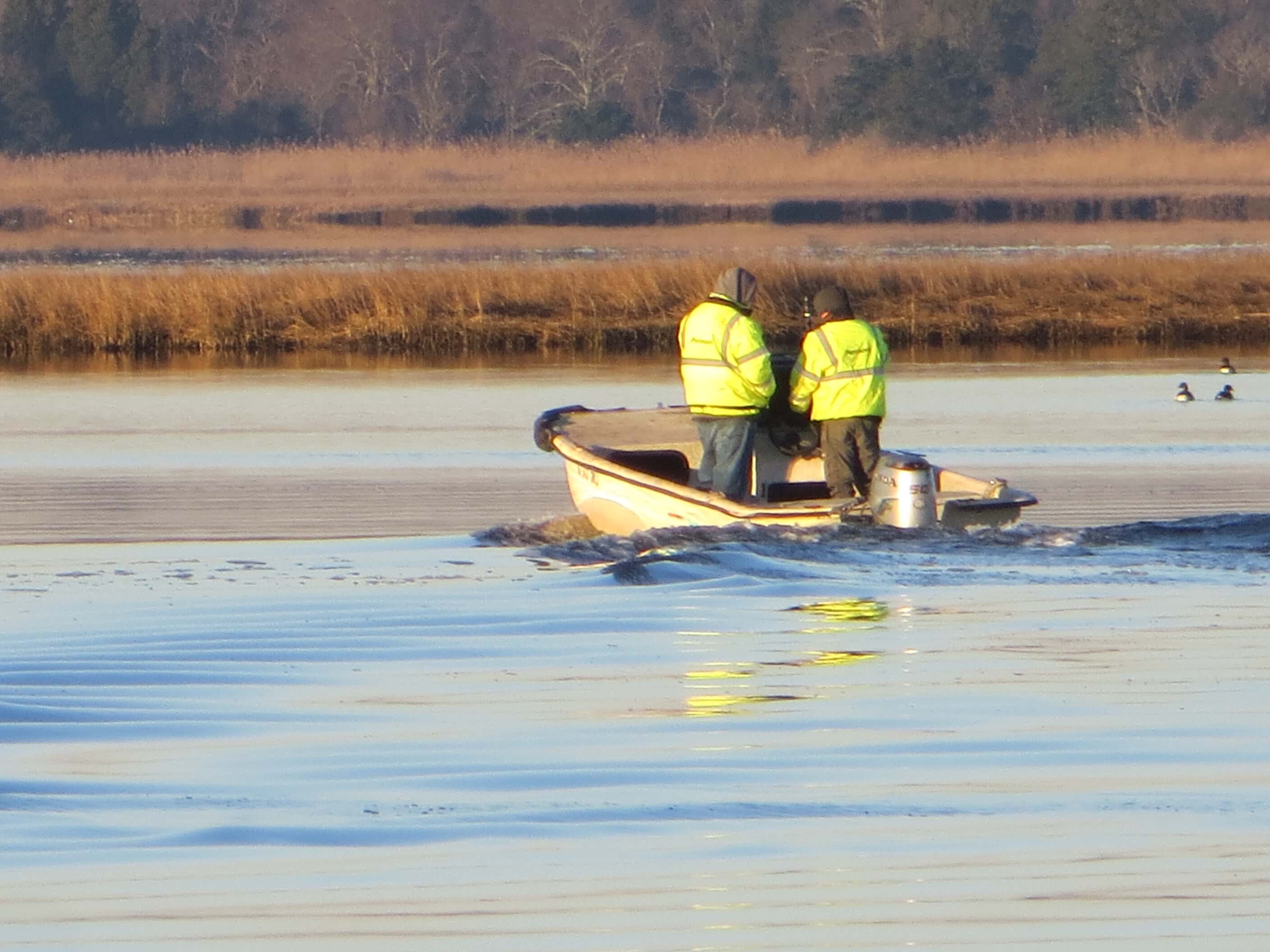 Ocean City's Shooting Island restoration project began Dec. 19.