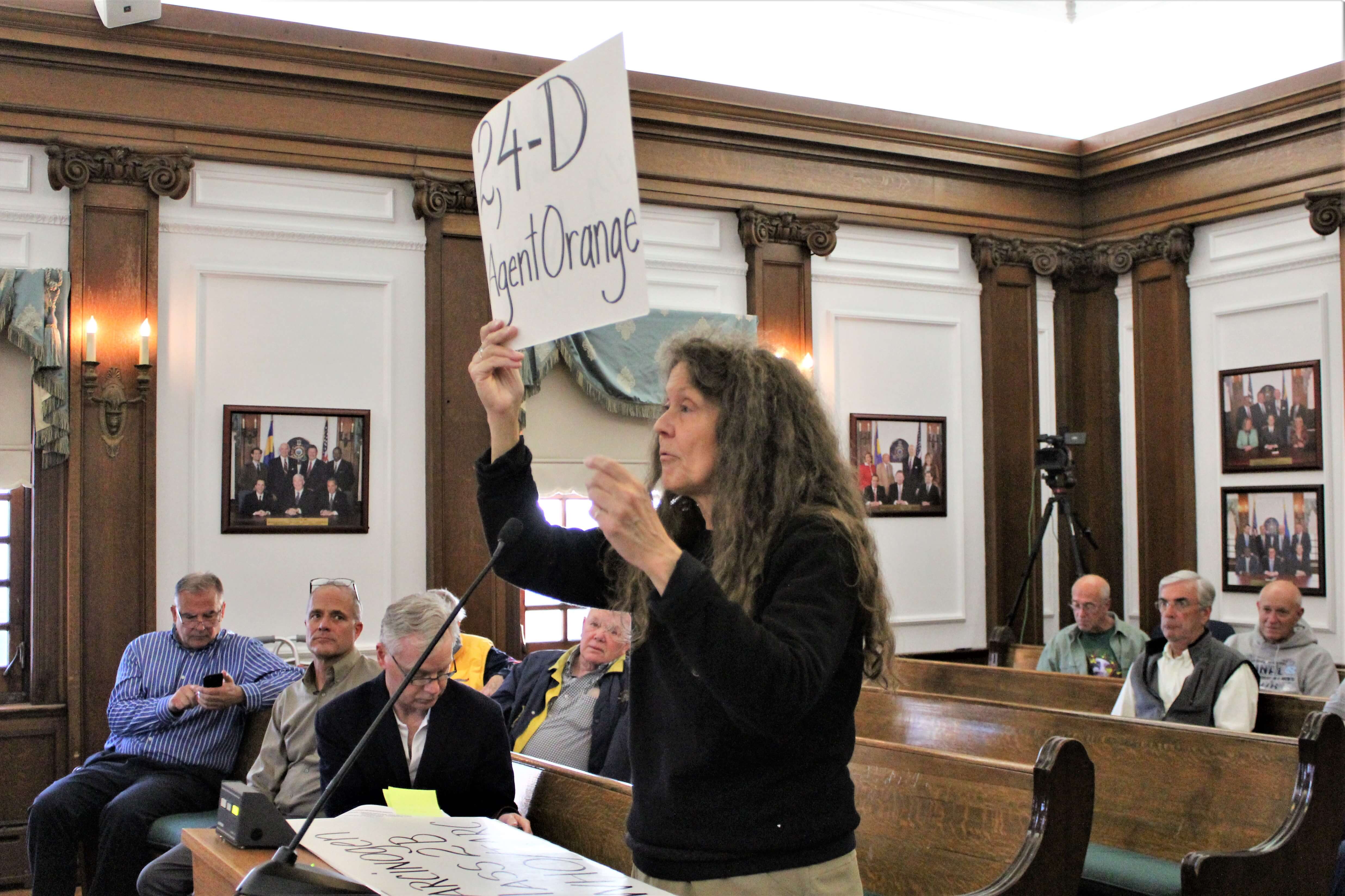 Resident Donna Moore calls on Ocean City Council to reduce herbicide and pesticide use in the city at the public comment portion of the May 9 meeting. The meetings start with comment from the public