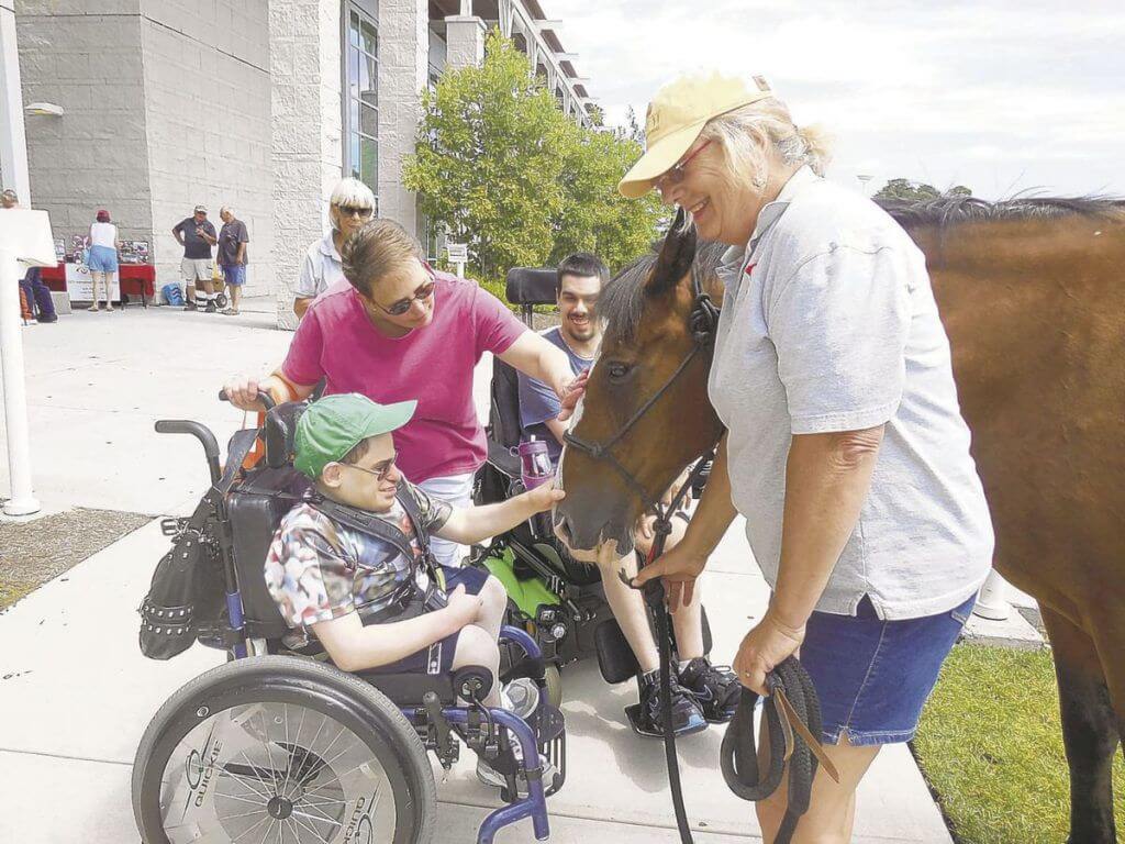 Ability Fair attendees stroke a therapy horse from Hearts Therapeutic Riding Center. 