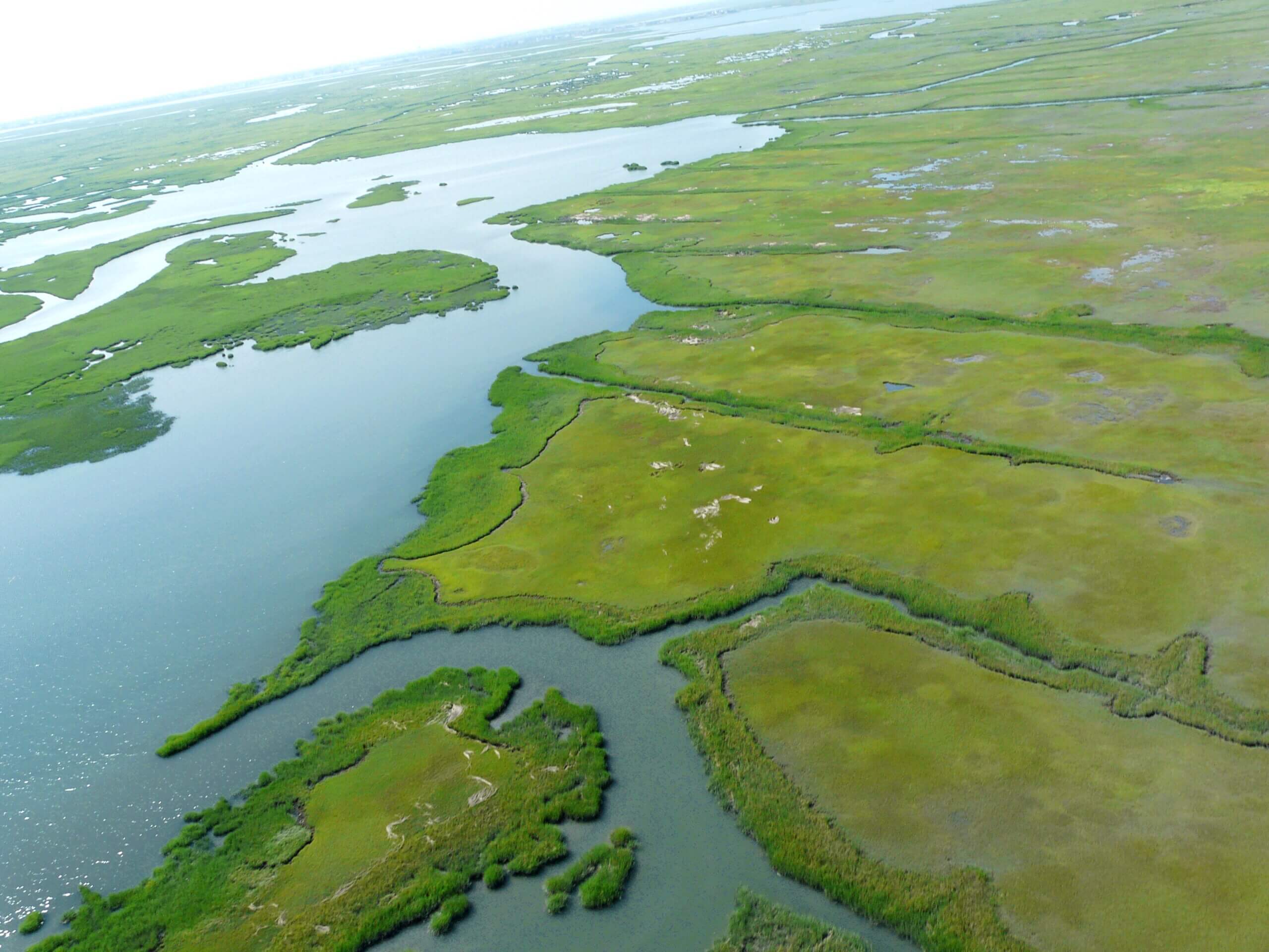 A helicopter view of canals dug by the Cape May County Department of Mosquito Control to drain stagnant water.