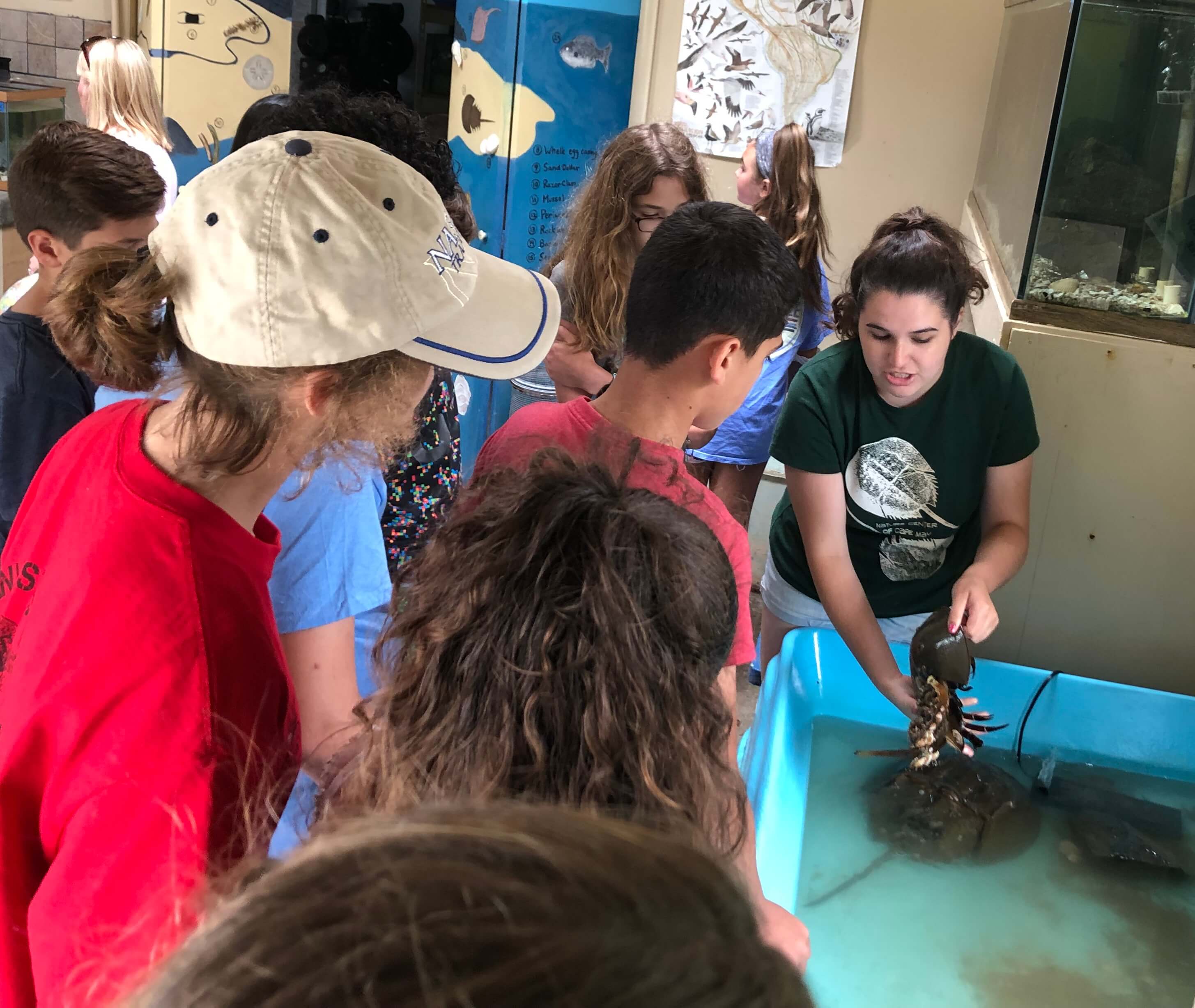 Nature Center Intern Chloe teaches 4-H teen leaders about horseshoe crabs in the center’s wet lab.