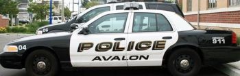 Avalon Police