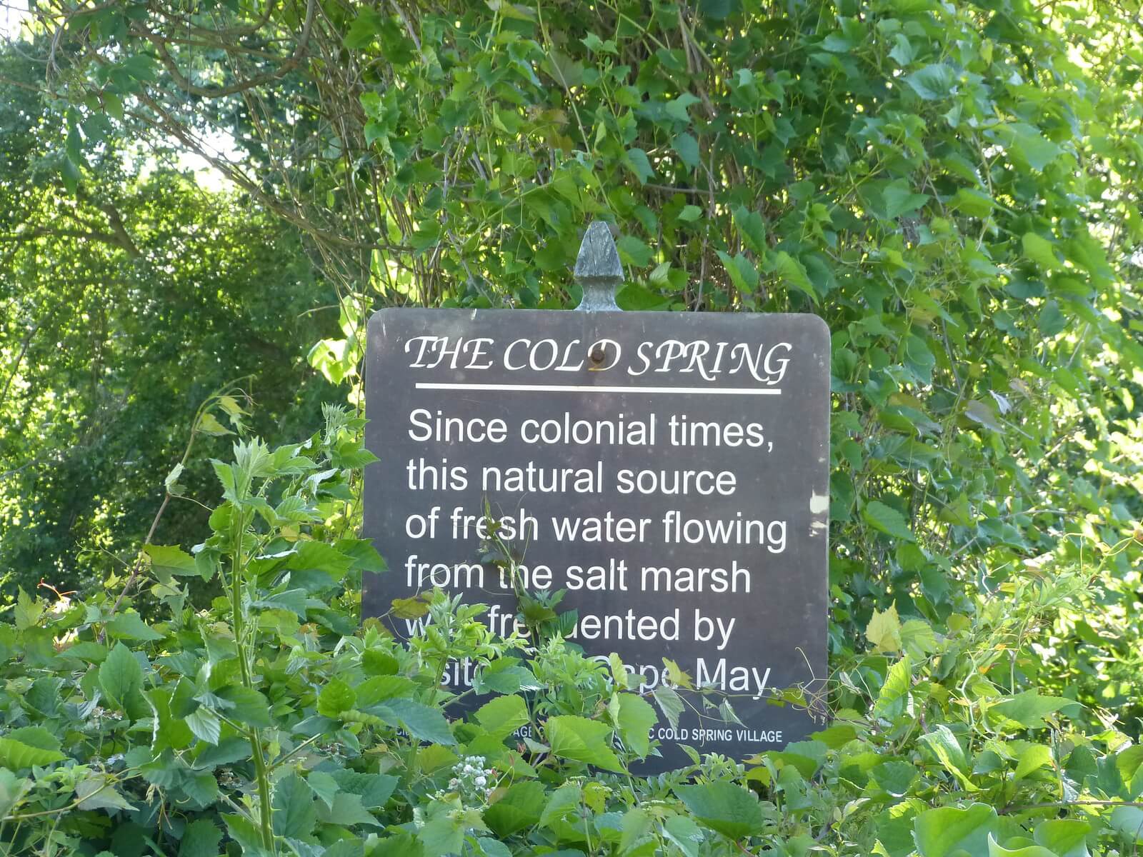 A sign at the site of the Cold Spring