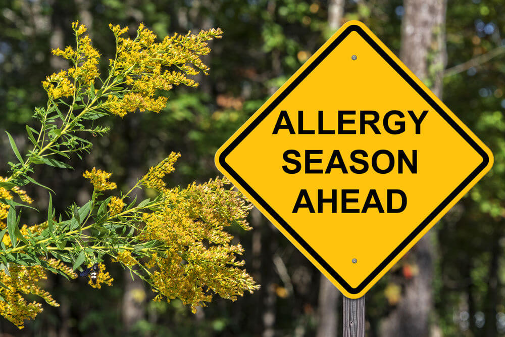How to Survive Fall Allergy Season