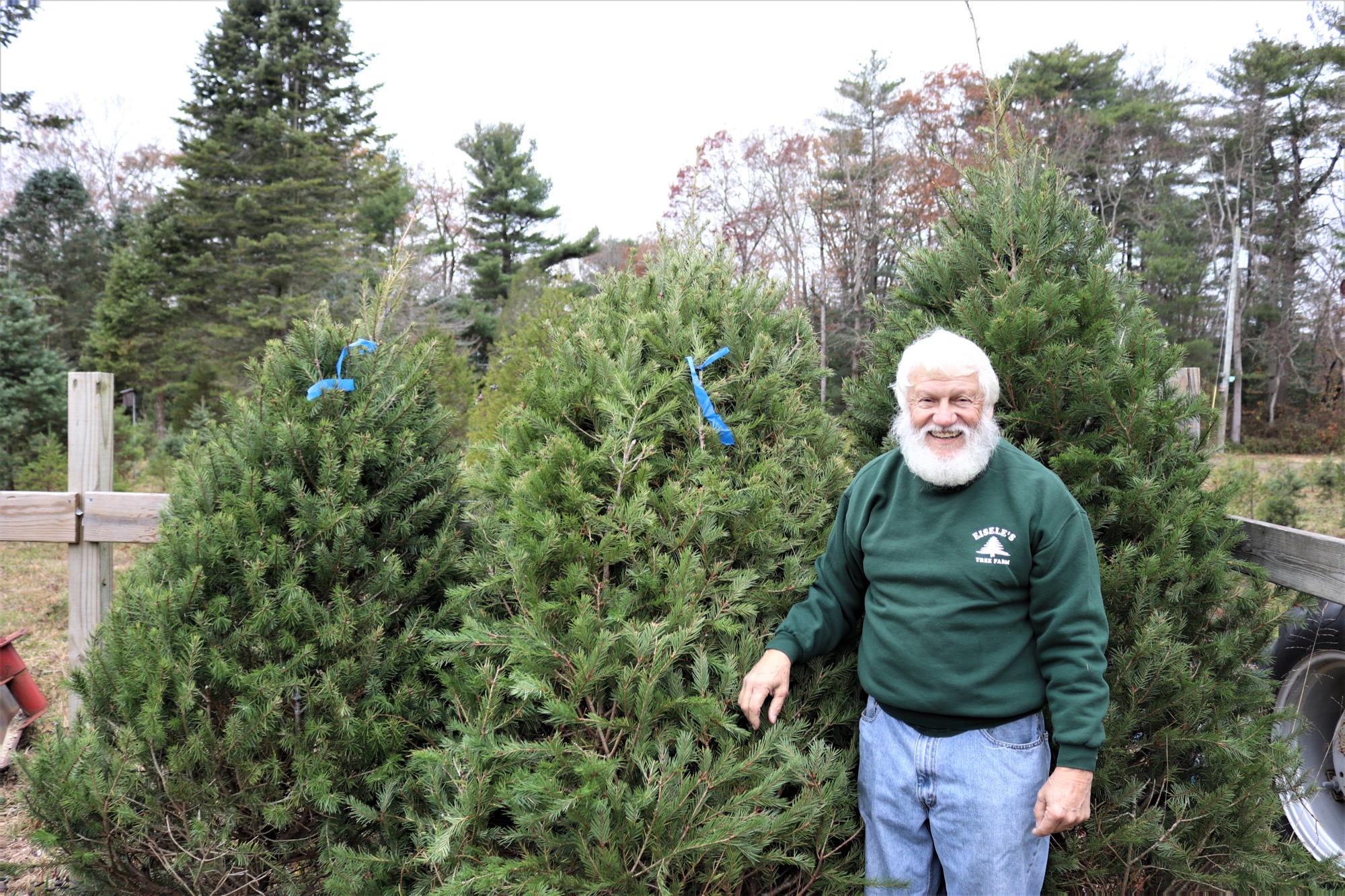 Bill Eisele grows Christmas trees on his farm in Upper Township. Eisele