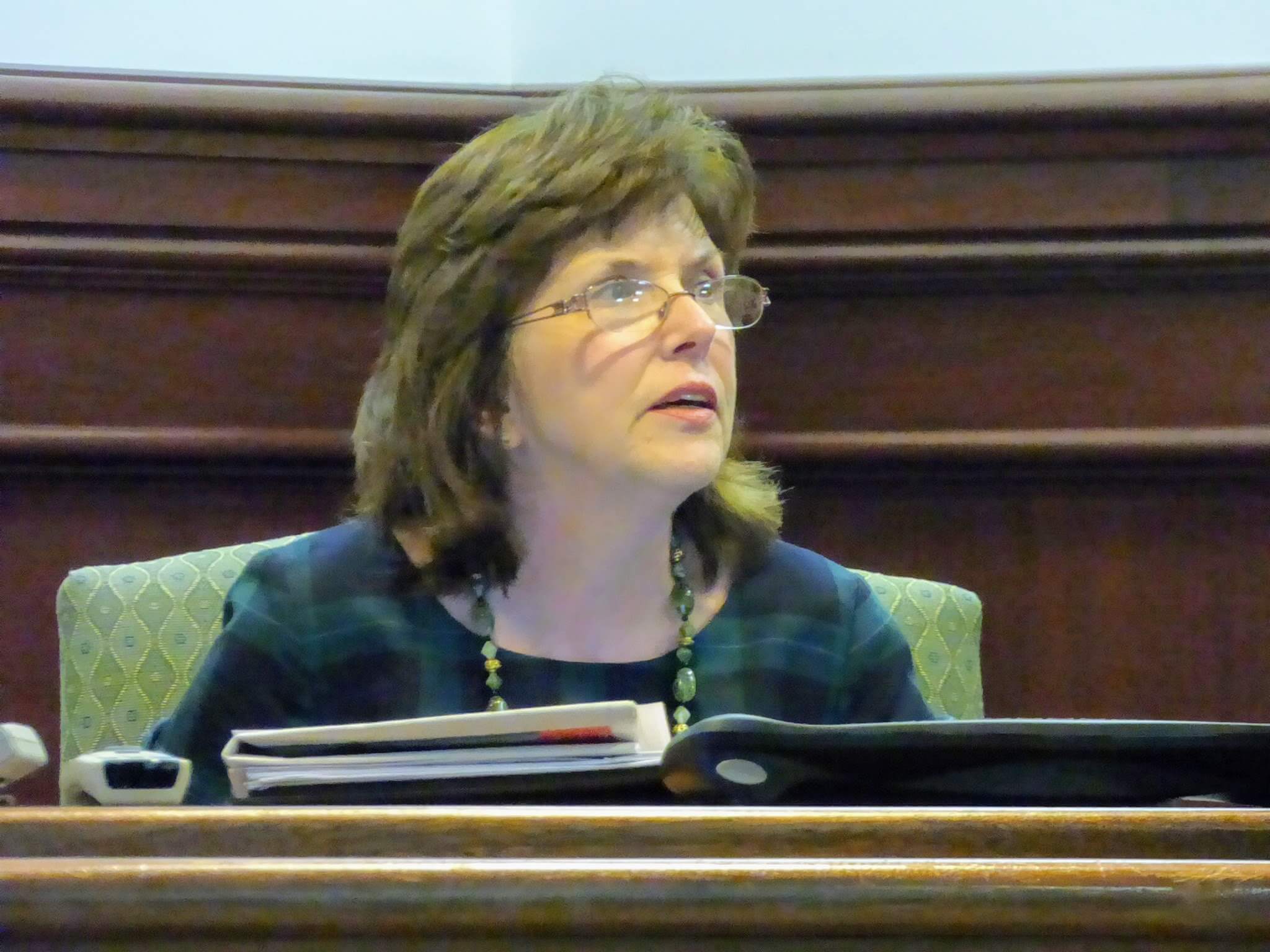 County Clerk Rita Fulginiti provides an annual update to freeholders Jan. 29.