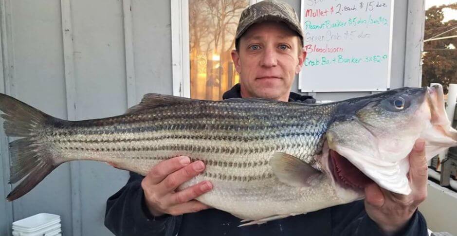 Nick Spiris and his keeper striped bass