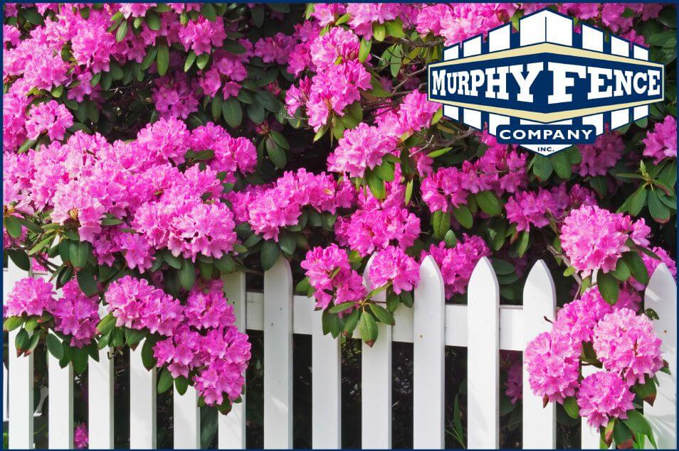 Caring for Your Fence This Spring