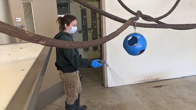 Zookeeper Kim Simpkins cleans the animal enclosures at the Cape May County zoo