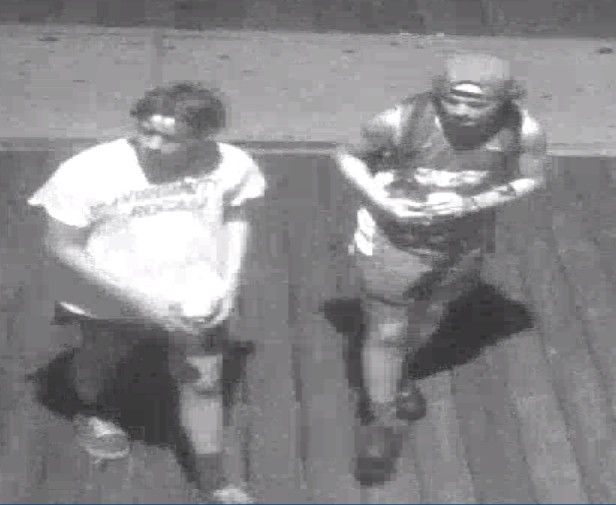 Public's Help Sought to ID Suspected Thieves