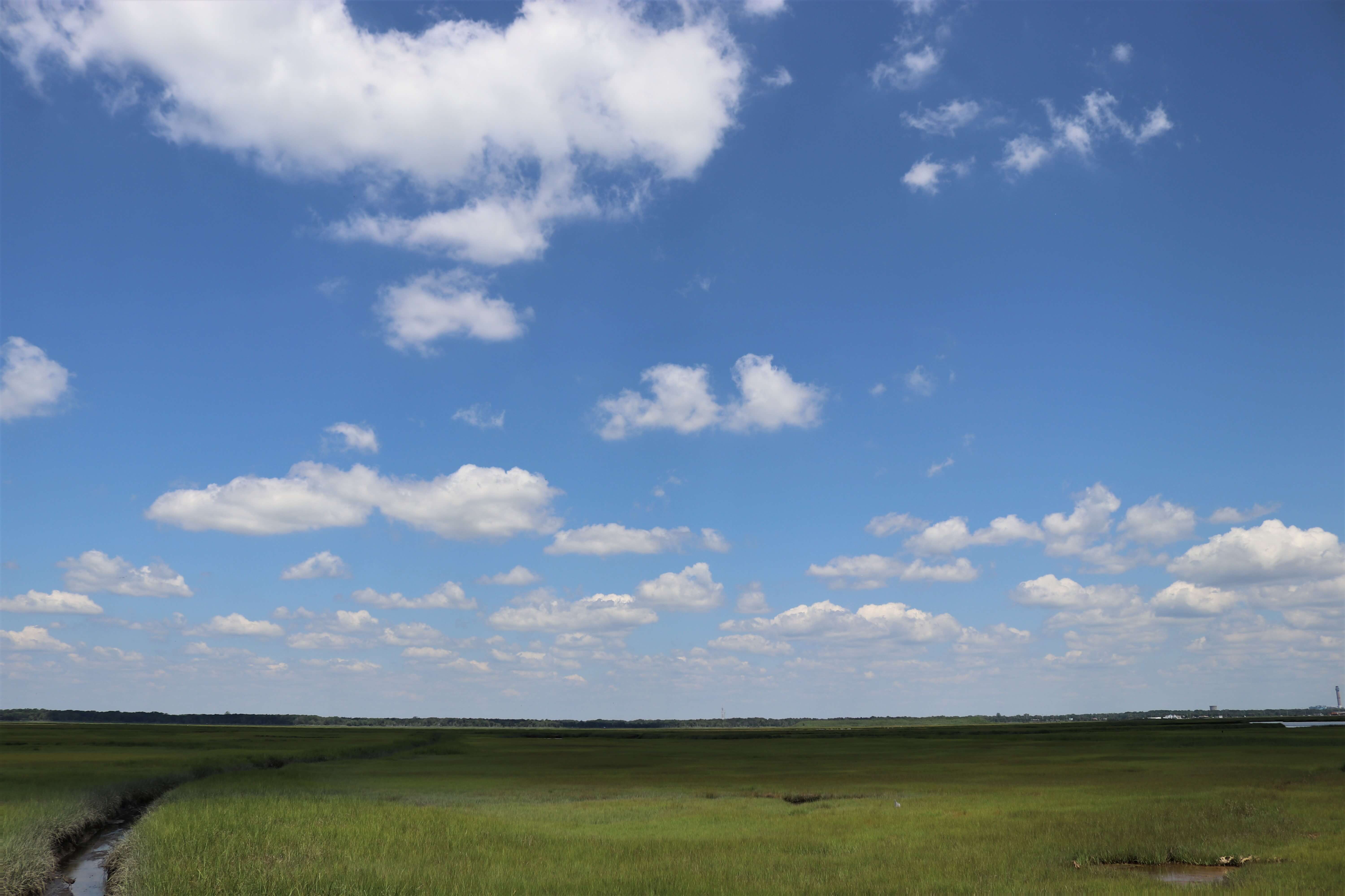 Summer clouds gather over an expanse of marsh in Ocean City. Environmental advocates say half of American wetlands could be vulnerable under changes to federal clean water rules that recently took effect. Proponents say the changes bring long-needed clarity.