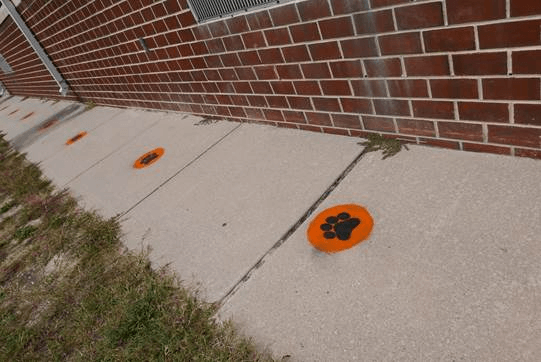 Handcrafted panther paw prints (pictured) were placed alongside sidewalks at Middle Township Elementary No. 1's parent pickup line.