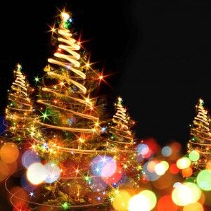 Cape May County Chamber Partners with Holly Shores Camping Resort On a Festival of Lights Event