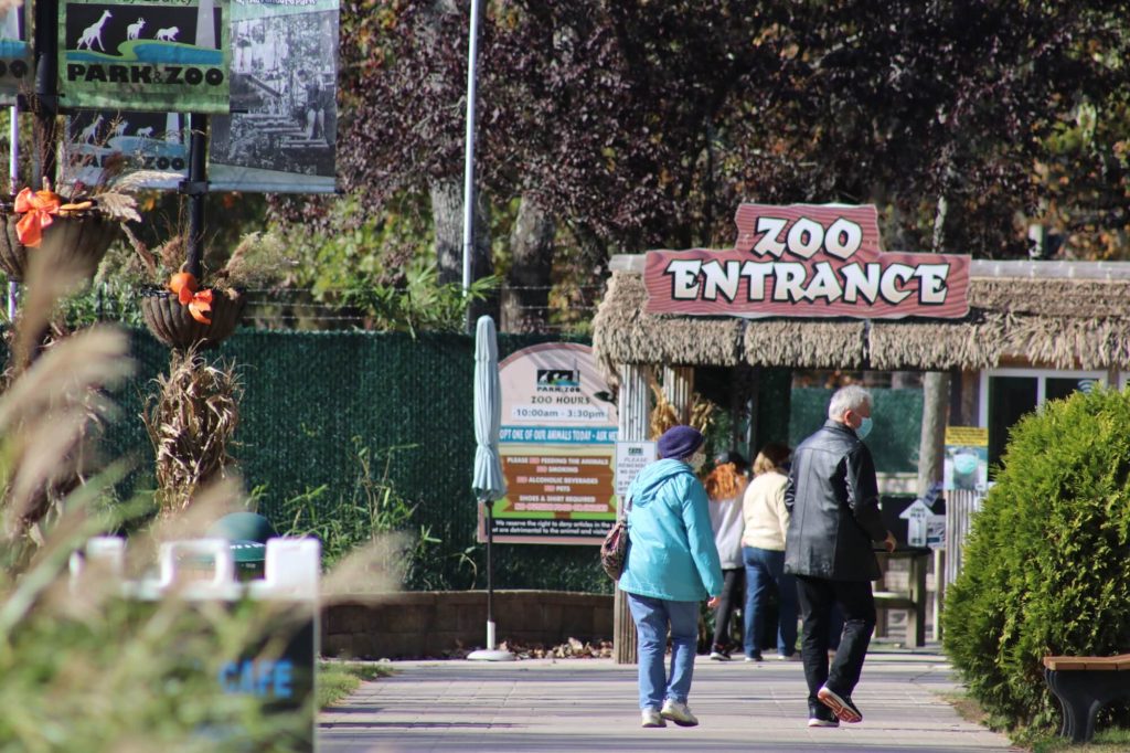 Visitors and staff had to adjust to a new reality at the Cape May County Zoo during the pandemic