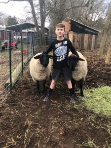 4-H Club member Patrick is among several club members who say virtual meetings are useful for meeting other members and sharing information. Patrick is a member of the Whinny Pigs 4-H Club.