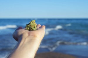 Beach Marijuana - Shutterstock.jpg