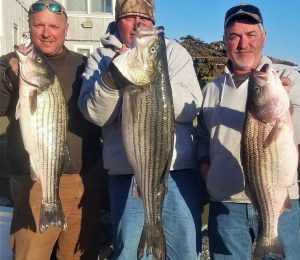 Early stripers from March 2020 for these anglers.