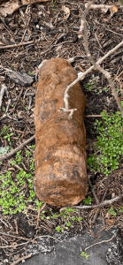 A military ordnance discovered in a North Cape May resident's backyard