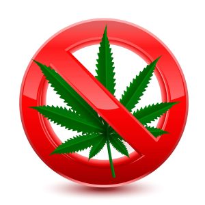 Marijuana Crossed Out - Shutterstock