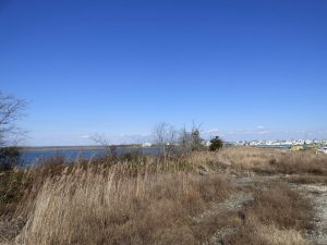 Wildwood is considering whether it wants to remediate a contaminated 26-acre site on its back bay