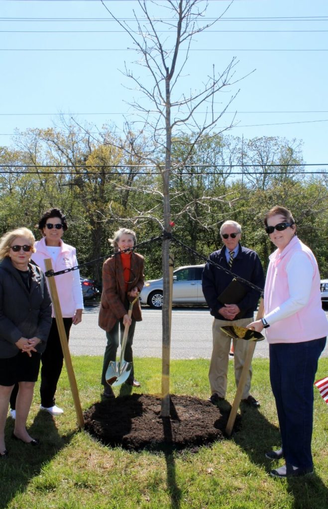 Members of Avalon Borough Council joined the Avalon Garden Club for a tree-planting ceremony April 30