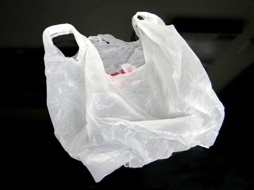 Paper or Plastic? Bills Could Change Bag Use