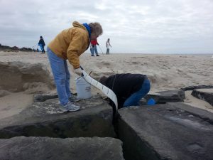 Residents helped clean the beaches at Cape May Point