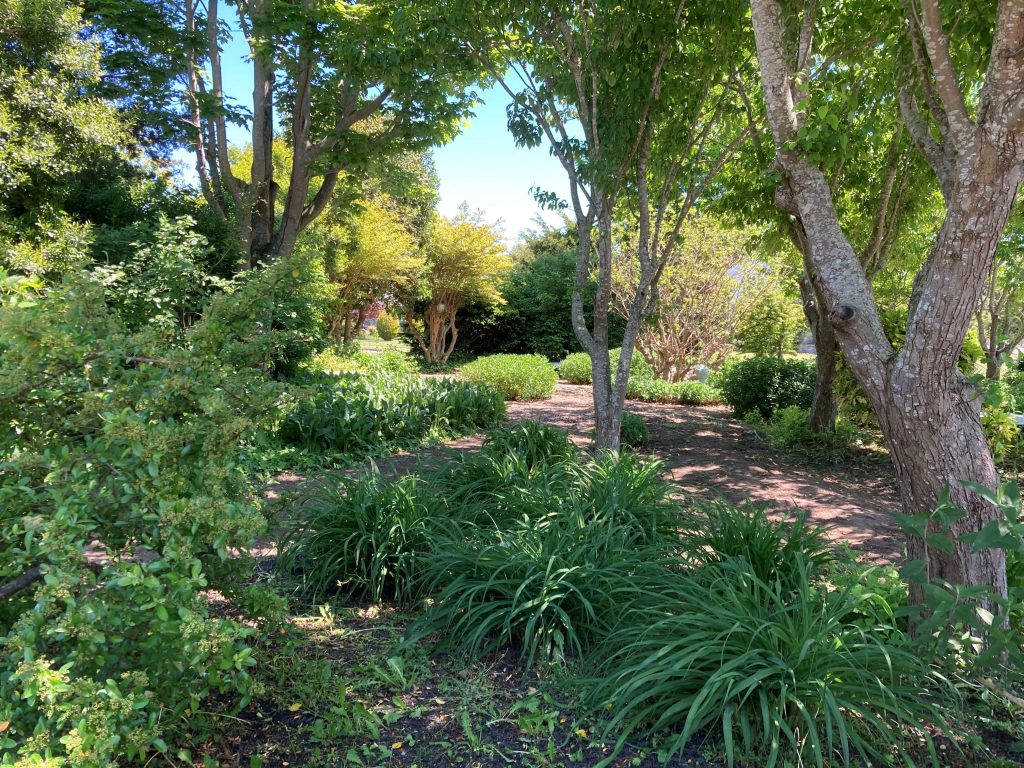 Cape May's Kiwanis Club tasked itself with a project to spruce up the Water Conservation Garden