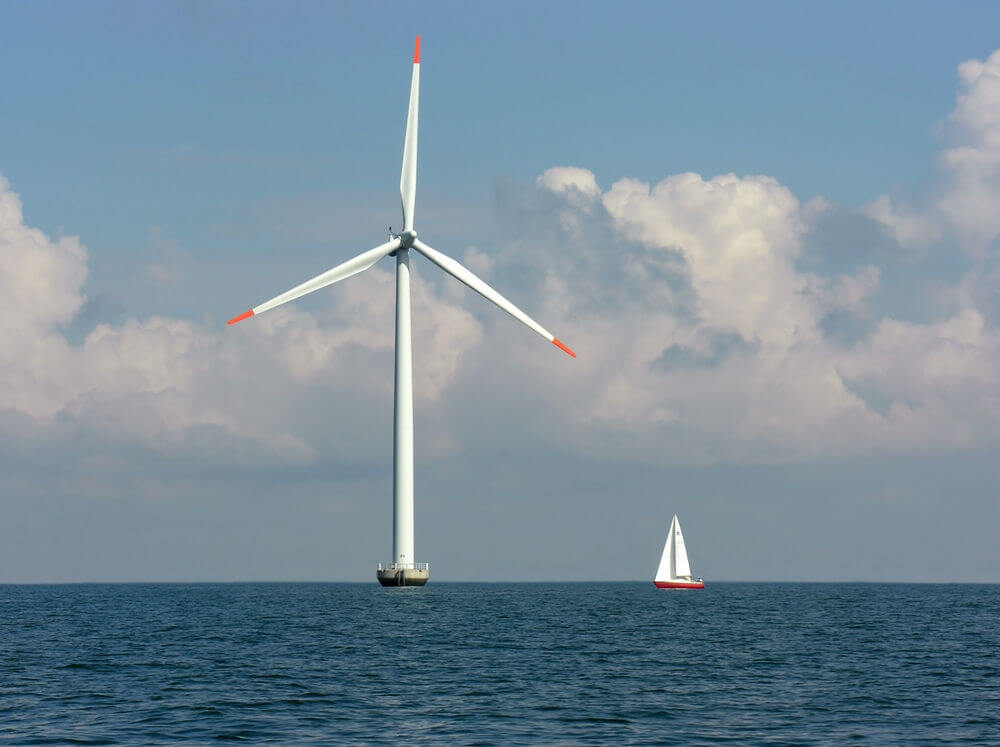 NJ Audubon Lauds BPU Solicitation of Offshore Wind