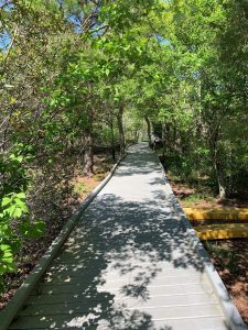 Pictured is a wheelchair-accessible nature trail