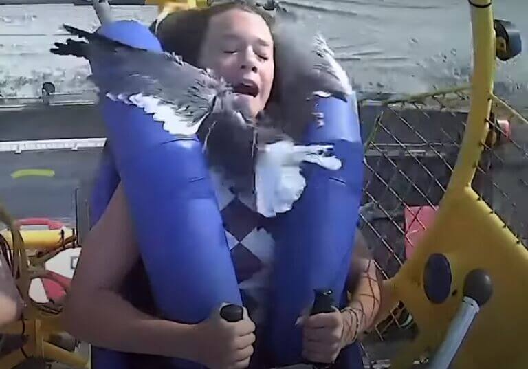 the girl and the bird weren’t hurt.(Video by Natalie Paterson)