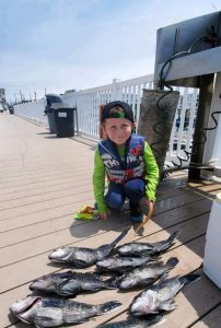 Young angler Paul Black and nice sea bass from his family outing.