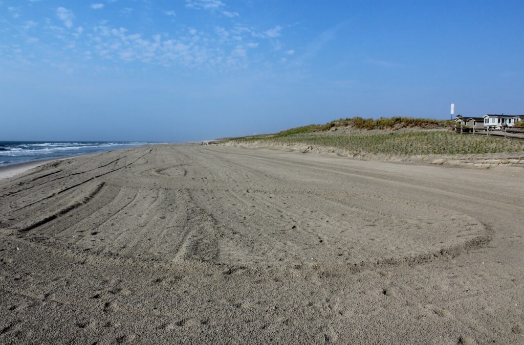 11th Street Beach Avalon.