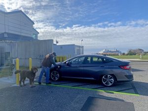 A traveler uses one of the two new electric vehicle chargers at the Cape May Ferry Terminal.