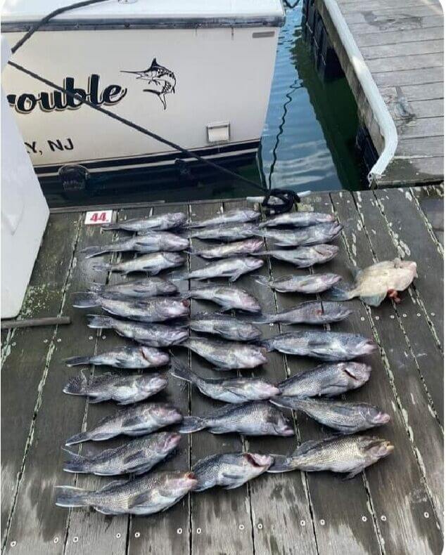 The result of a successful three-man trip on the Reel Trouble.