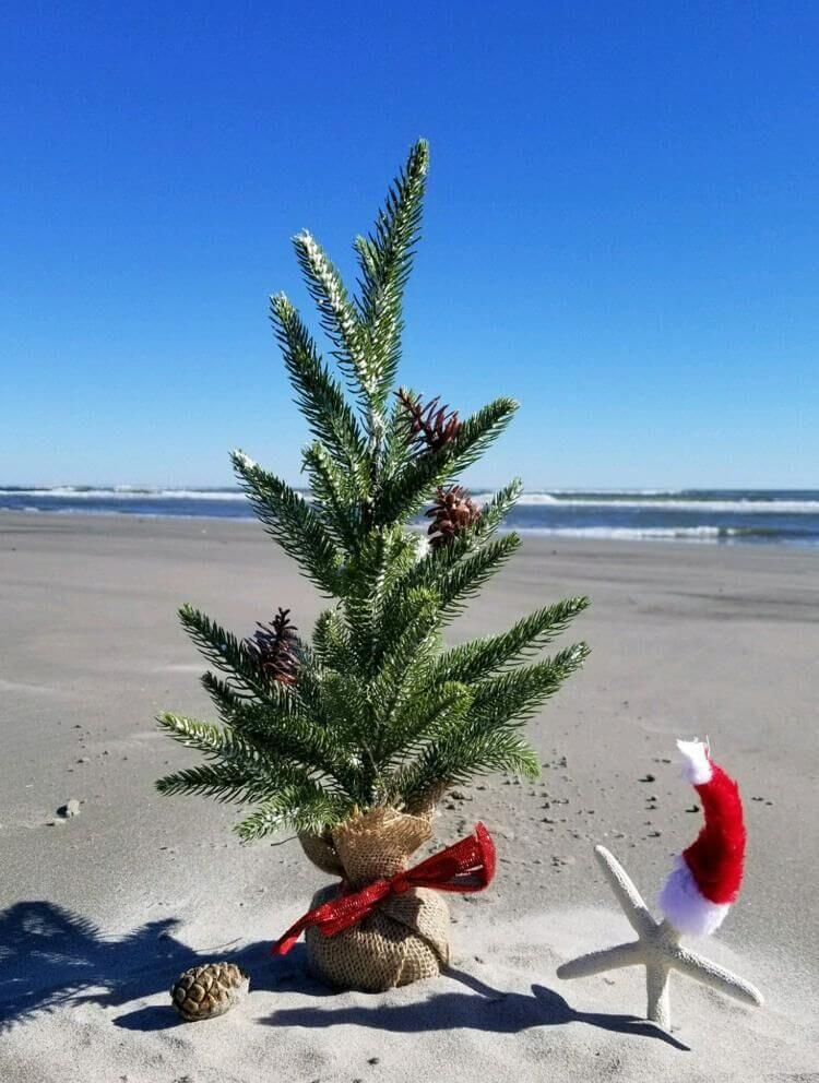 beach christmas tree