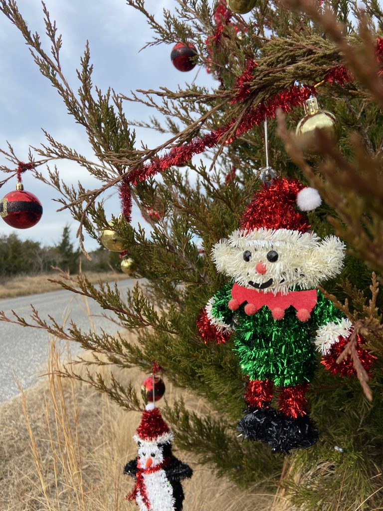 Decorated Christmas trees make Beach Drive a much cheerier place.   