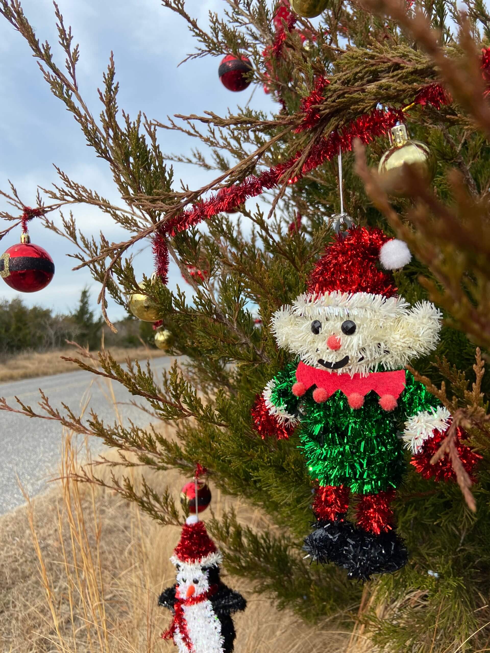 Decorated Christmas trees make Beach Drive a much cheerier place.   