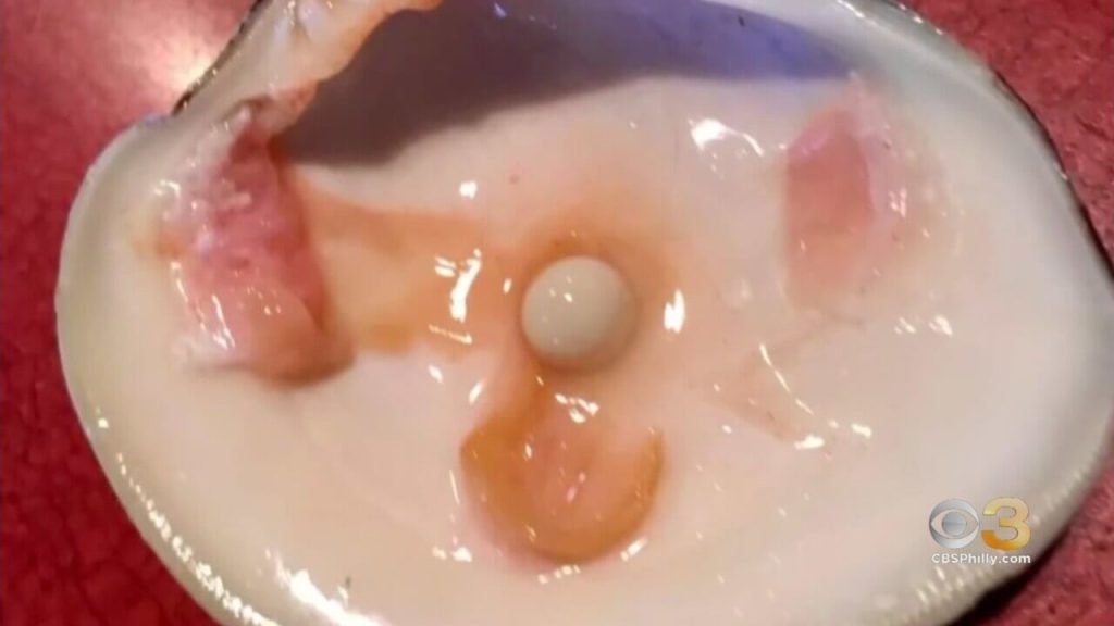 A couple found this pearl in a clam they ordered at the Lobster House in Cape May.