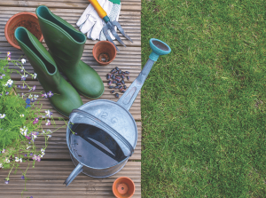 Spring is technically less than a week away. Is your garden ready?