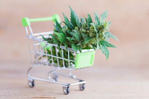 supermarket trolley marijuana medical cannabis oil cbd