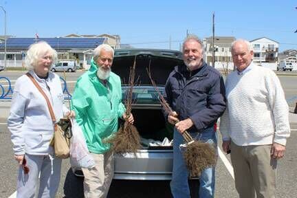 Shown during the distribution of free tree seedlings following Sea Isle City’s Arbor Day Celebration on April 29 are (from left) Sea Isle City Beautification Committee members Anne Organ and Alan Nesensohn