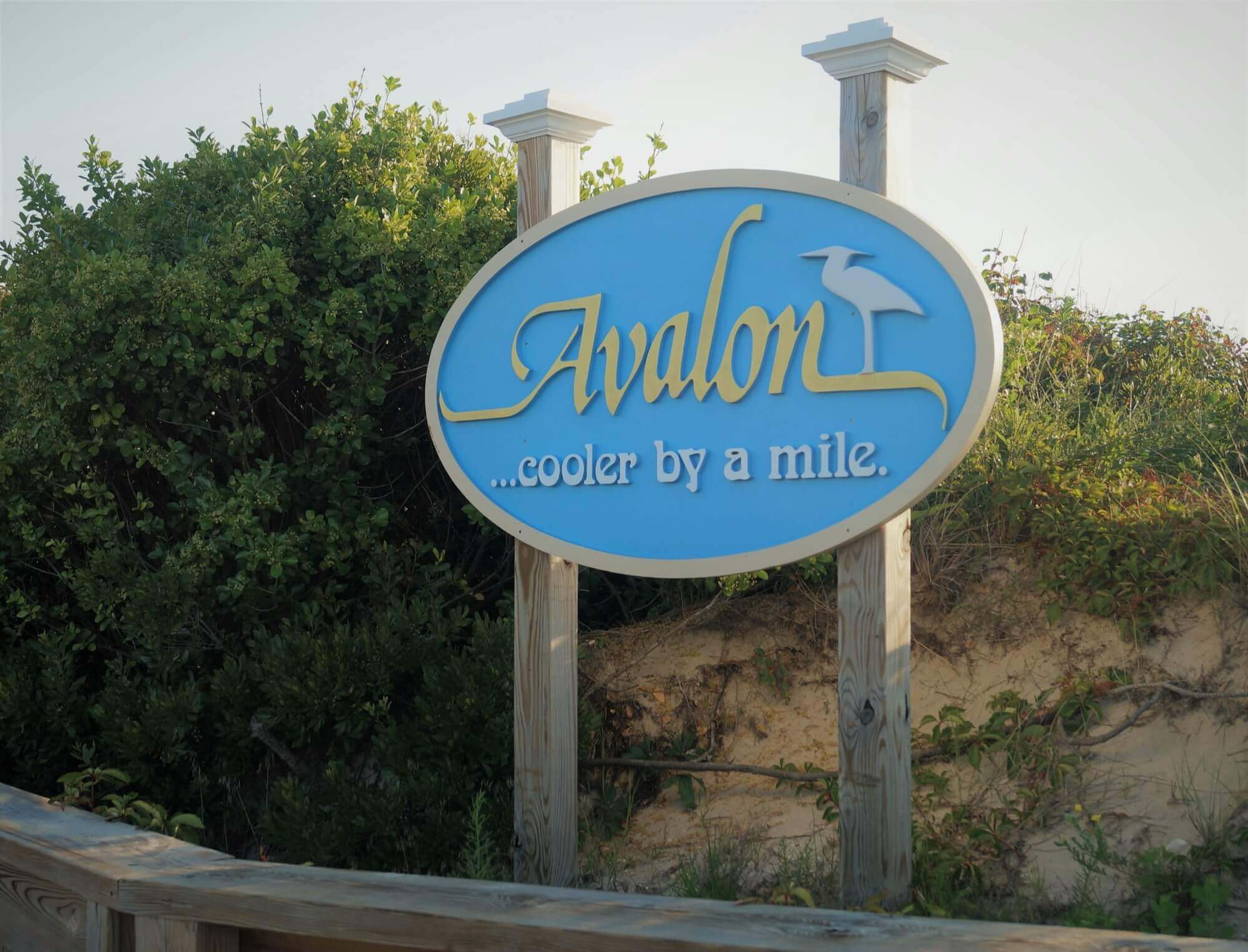AVALON LOGO SHUTTERSTOCK