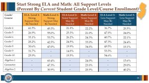 Support level survey results by grade