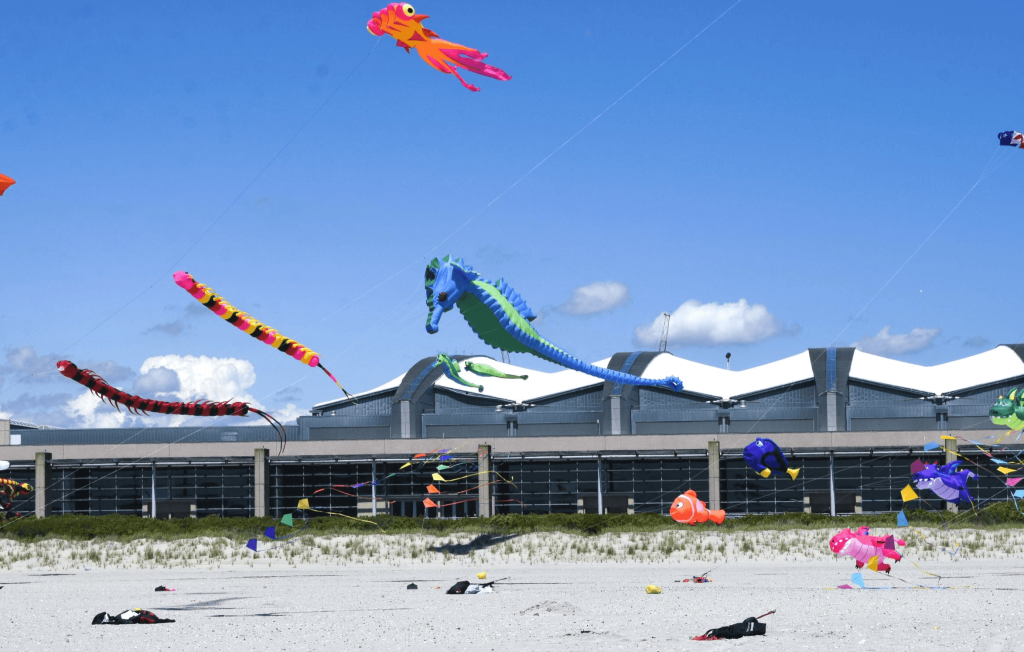 Giant kites adorned the Wildwood skies when the Wildwoods International Kite Festival hit town May 28. 