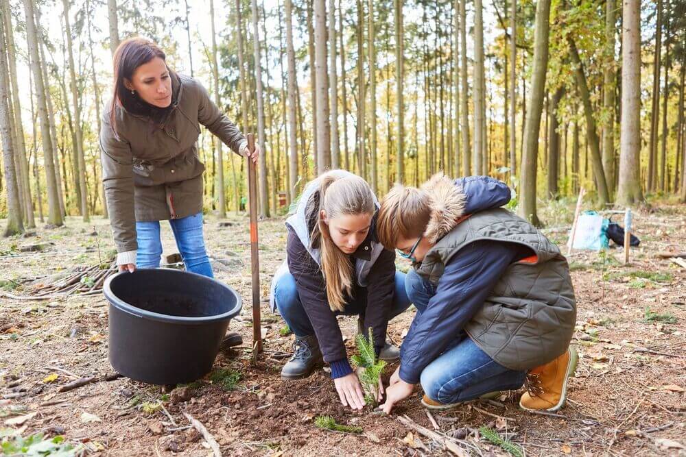 The website will help educators execute lesson plans on climate.