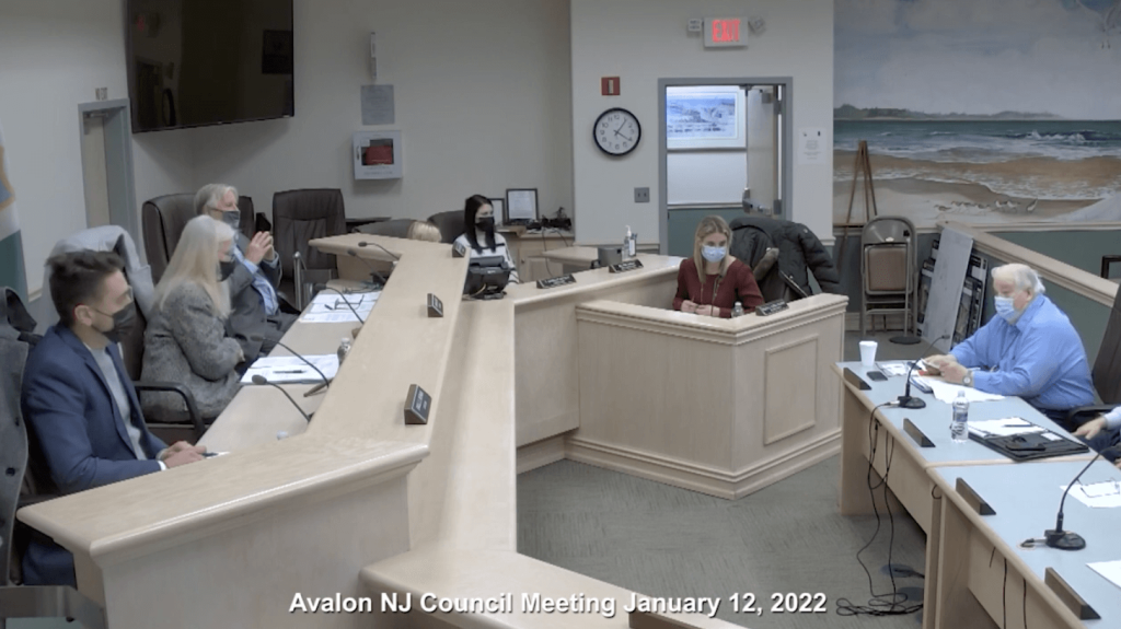 A screen grab of an Avalon borough council meeting