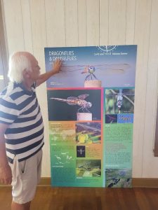Robert Mullock points at a potential Cape May Point Science Center display on dragonflies and damselflies. 